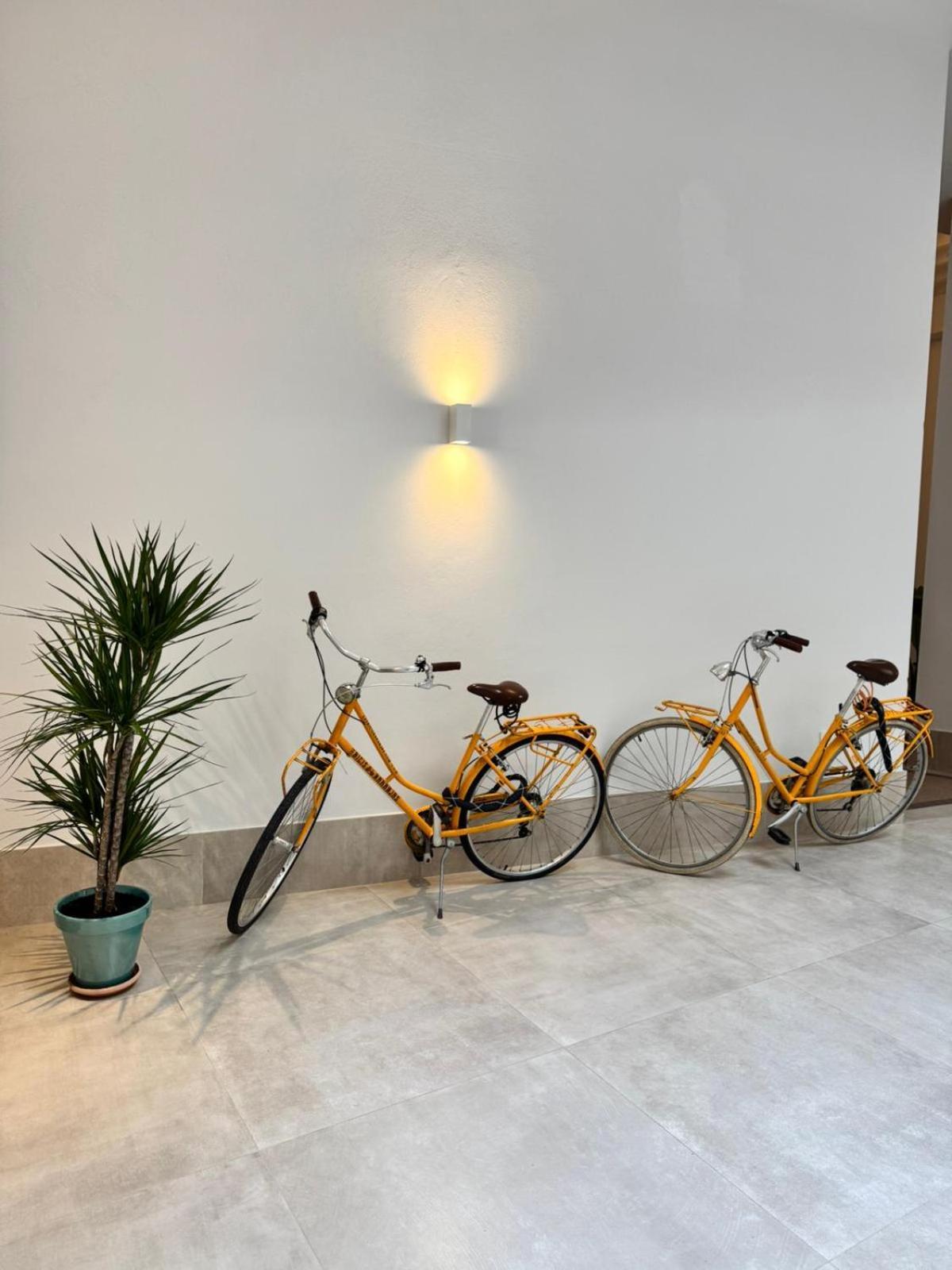 Appartement Qe